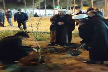 نهال امید17